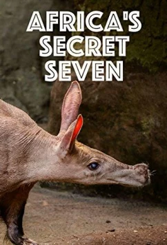 Постер: Тайная семерка Африки / Africa's Secret Seven (2003)