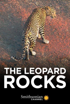 Постер: Скала леопардов / The Leopard Rocks (2017)