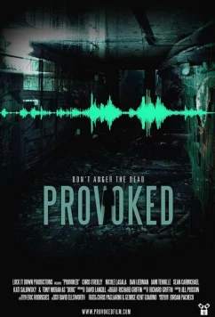 Постер: Спровоцированный / Provoked (2013)