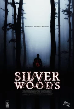Постер: Серебрянный лес / Silver Woods (2017)