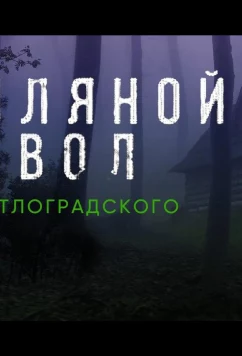 Постер: Земляной дьявол. Дело светлоградского маньяка (2020)