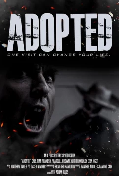 Постер: Приёмная / Adopted (2020)
