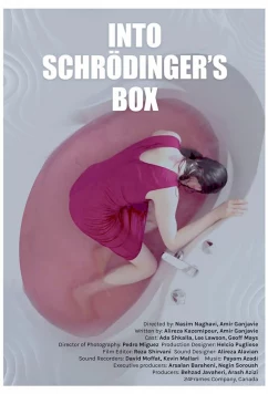 Постер: Убийство Шрёдингера / Into Schrodinger's Box (2021)