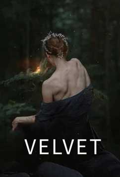 Постер: Бархат / Velvet (2021)