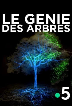 Постер: Деревья: гении мира природы / Le génie des arbres (2020)