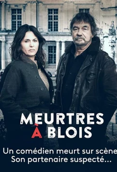 Постер: Убийства в Блуа / Meurtres à Blois (2022) Постер: Убийства в Блуа / Meurtres à Blois (2022)
