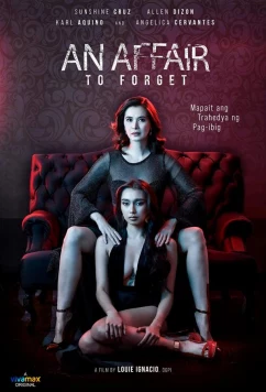Постер: Роман, который нужно забыть / An Affair to Forget (2022)