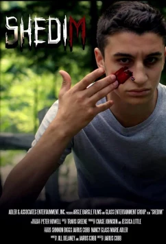 Постер: Шедим / Shedim (2020)