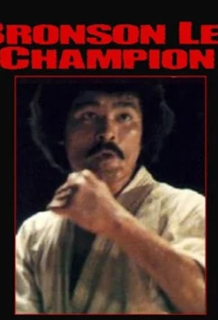 Постер: Za karate 3: Denkô sekka / Za karate 3: Denkô sekka (1975) Постер: Za karate 3: Denkô sekka / Za karate 3: Denkô sekka (1975)