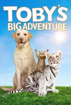 Постер: Большое приключение Тоби / Toby's Big Adventure (2020)