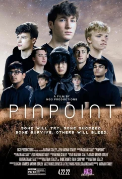 Постер: Пинпойнт / Pinpoint (2022)