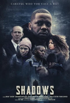 Постер: Тени / Shadows : The movie (2023)