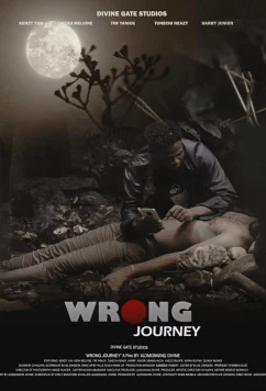 Постер: По ложному пути / Wrong journey (2024)