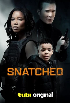 Постер: Захваченный / Snatched (2024)