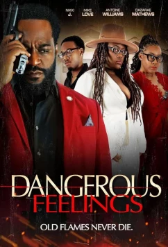 Постер: Опасные чувства / Dangerous Feelings (2024)