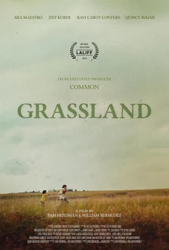 Постер: Угодья / Grassland (2024)