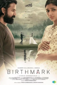 Постер: Родинка / Birthmark (2024)