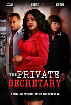 Постер: Личный секретарь / The Private Secretary (2024)