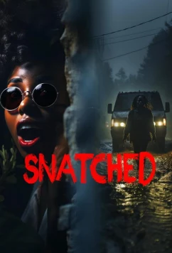 Постер: Схваченные / Snatched (2024)