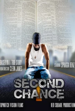 Постер: Второй шанс / Second Chance (2022)