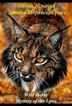 Постер: Загадка иберийской рыси / Mystery of The Lynx (2024) Постер: Загадка иберийской рыси / Mystery of The Lynx (2024)