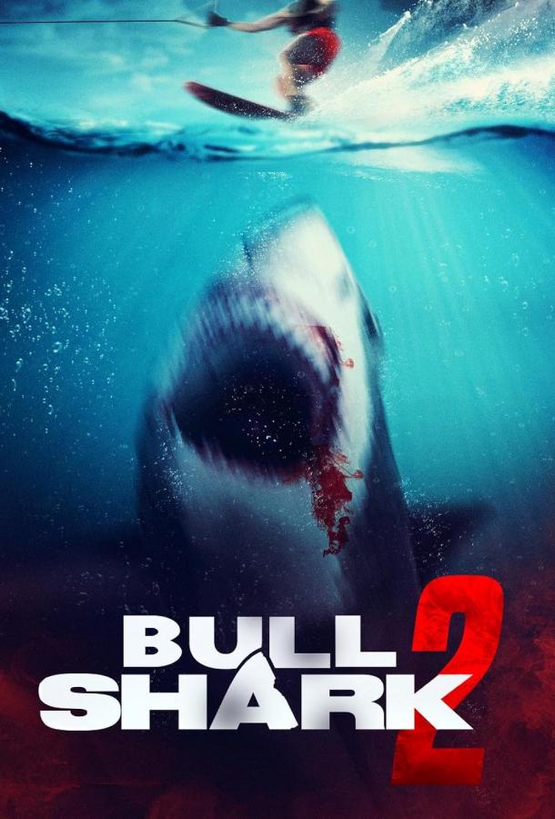 Постер: Бычья акула 2 / Bull shark 2 (2024)
