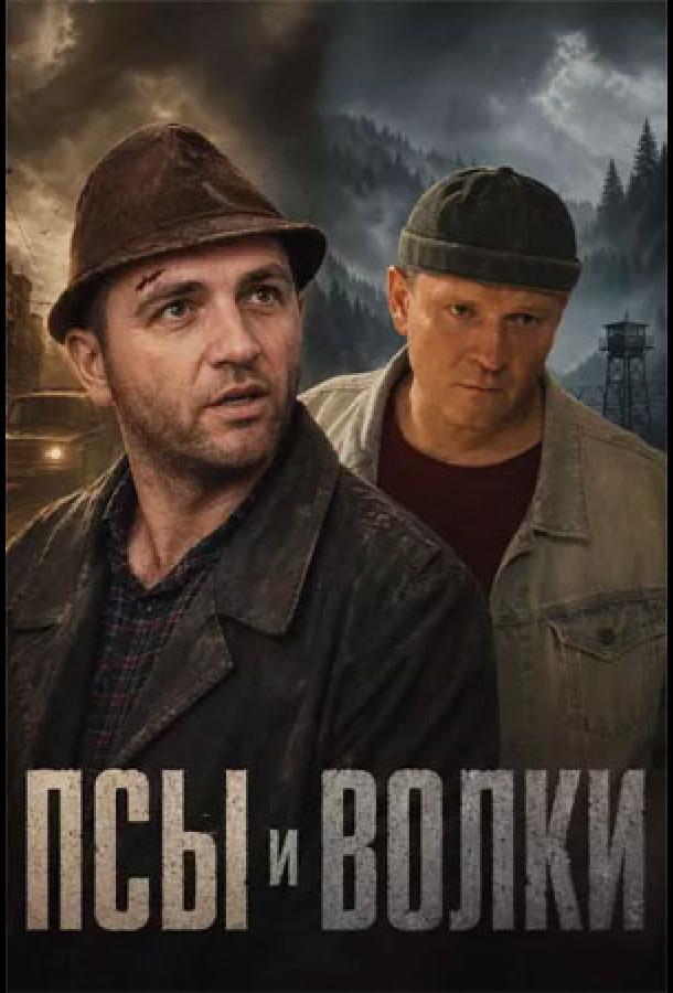Постер: Псы и волки (2025)