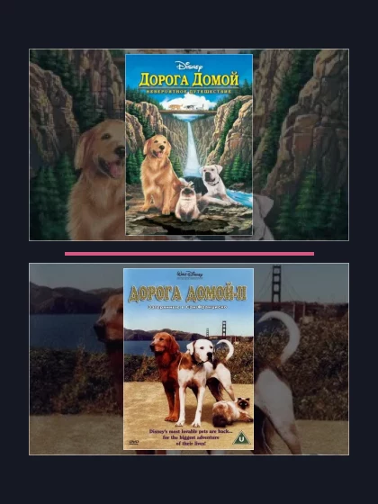 Дорога домой