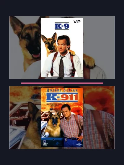 К-9: фильмы франшизы по хронологии