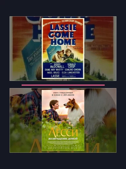 Постер: Все части франшизы Лесси
