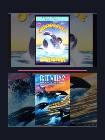 Освободите Вилли: фильмы франшизы по хронологии