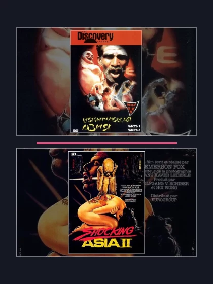 Постер: Все части франшизы Шокирующая Азия